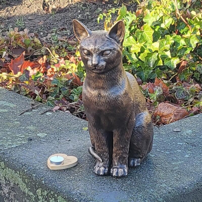 Het bronzen beeld van kat Brammetje bij station Weidevenne