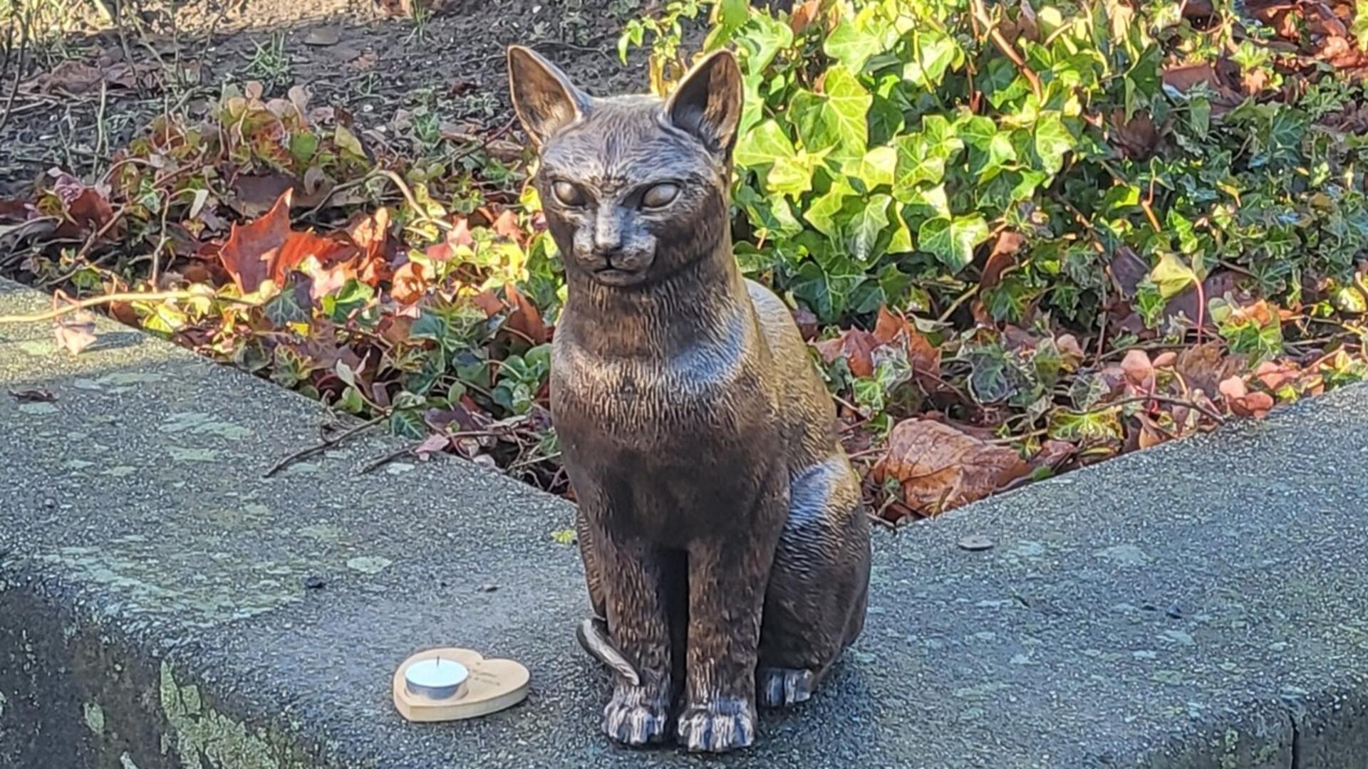 Foto van het bronzen beeld van stationskat Brammetje in Weidevenne