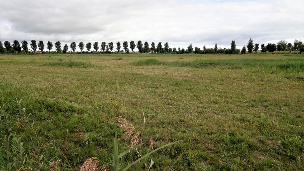 Foto van de locatie van de noodopvang voor asielzoekers in Baanstee Noord