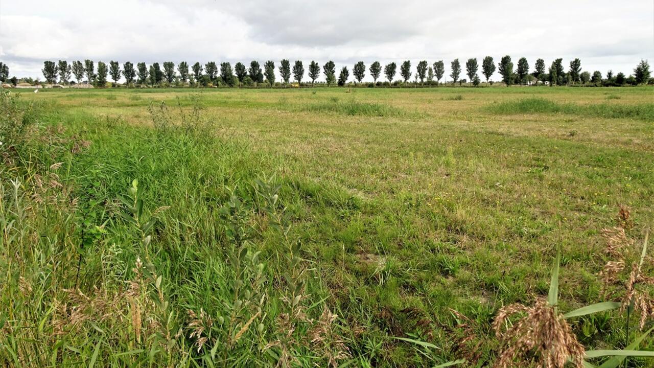 Foto van de locatie van de noodopvang voor asielzoekers in Baanstee Noord